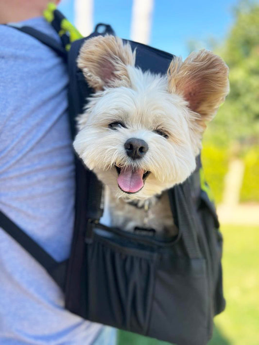 INTRODUCING OUR OCTOBER ROVERLUND PAL, @POPEYETHEFOODIE