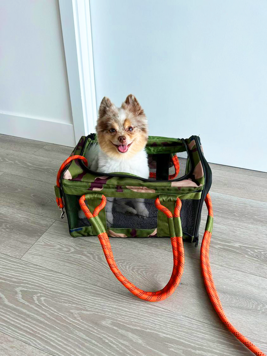 INTERVIEW WITH LOUIS @LOUISTHEPOMSKY