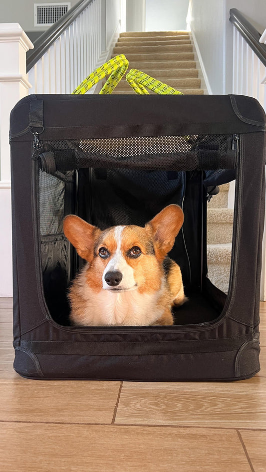 INTRODUCING OUR NOVEMBER ROVERLUND PAL, @GANDALFTHECORGI