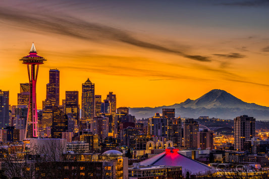 SEATTLE, WA DOG-FRIENDLY TRAVEL GUIDE