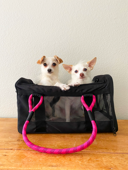 INTRODUCING OUR FEBRUARY ROVERLUND PALS, ELLIE AND TITUS