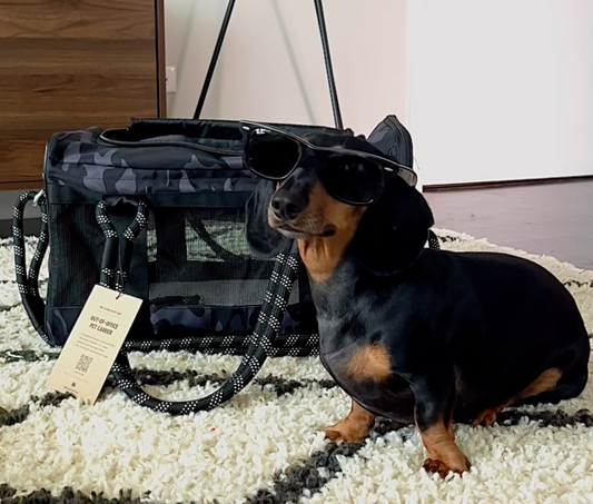 INTRODUCING OUR JANUARY ROVERLUND PAL, SONNY THE SAUSAGE