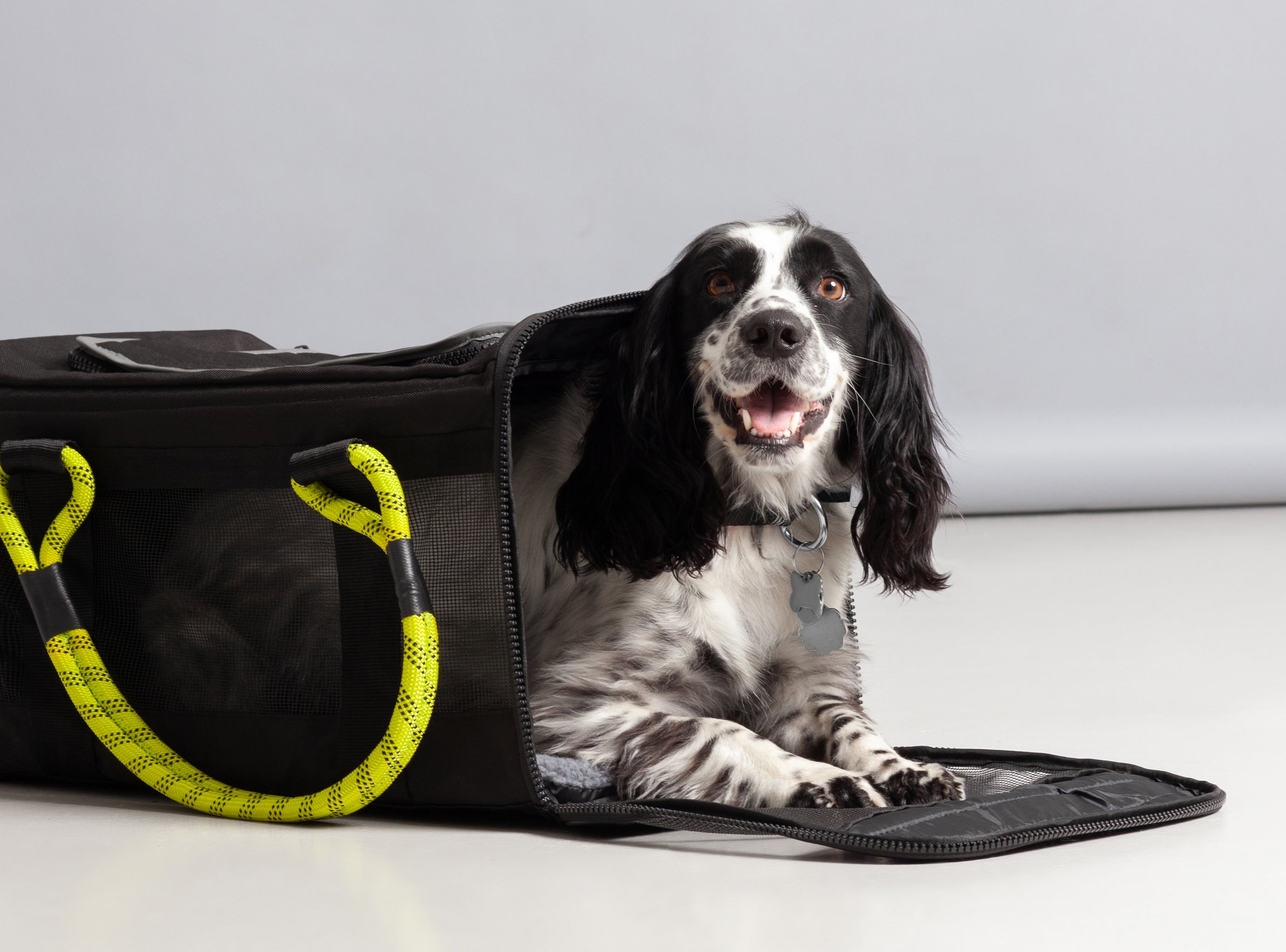 Roverlund Airline Compliant Pet Carrier Best Pet Carrier