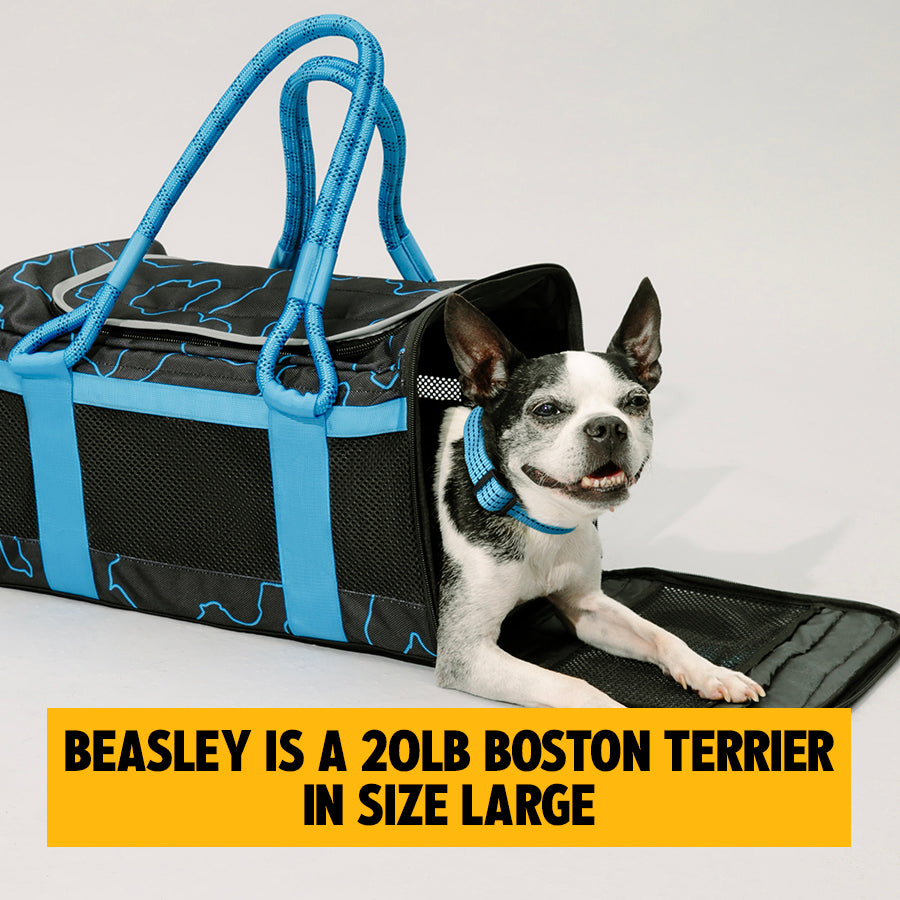 out-of-office-pet-carrier-1
