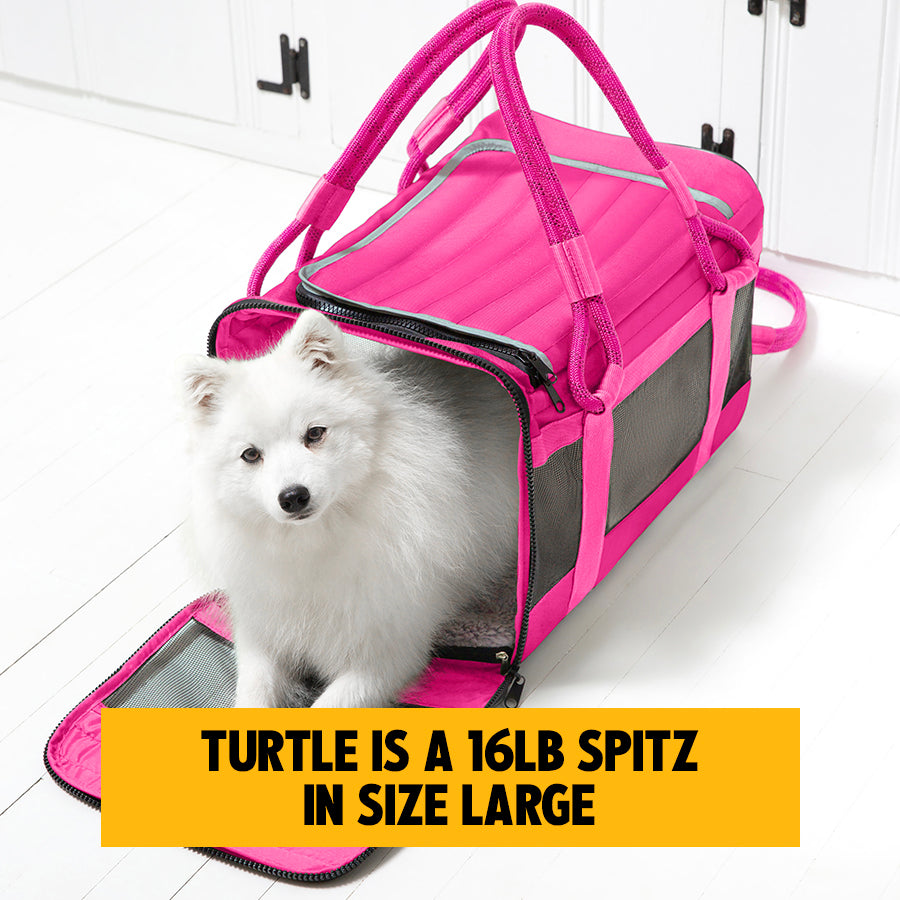 out-of-office-pet-carrier-1