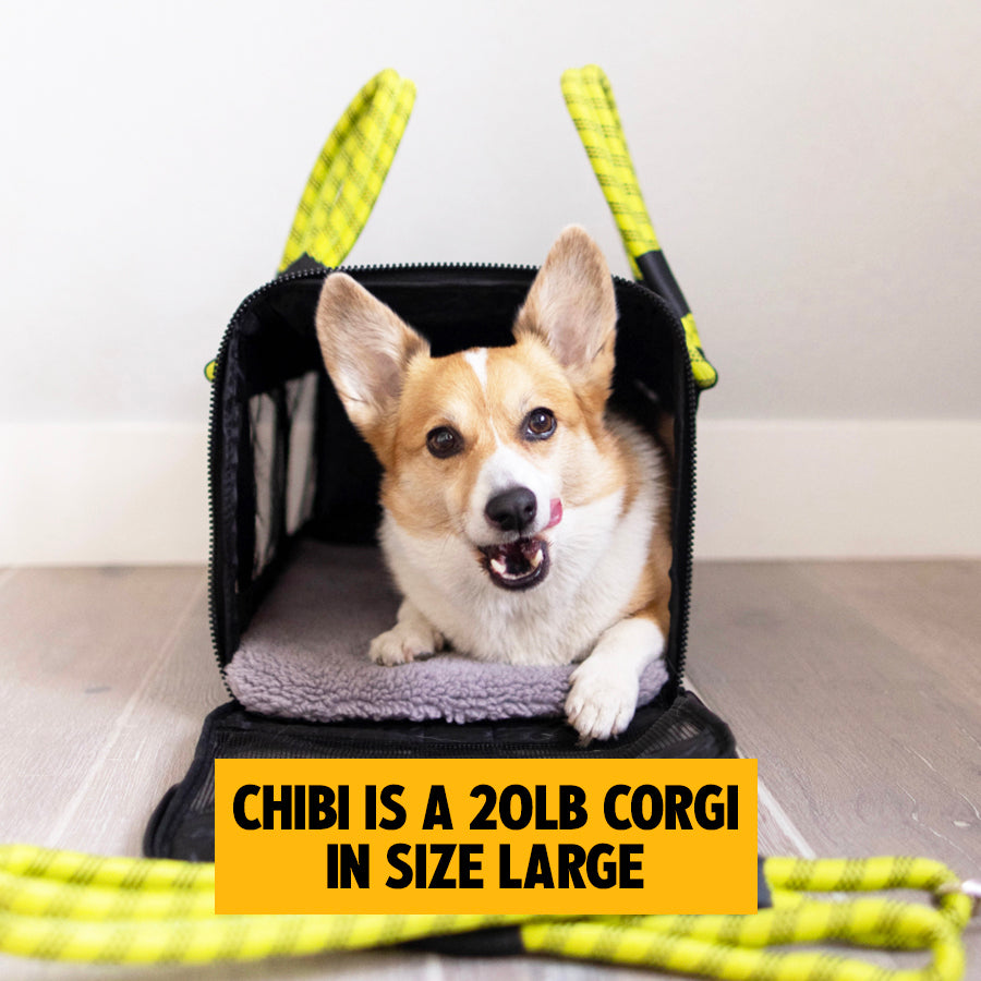 out-of-office-pet-carrier-1