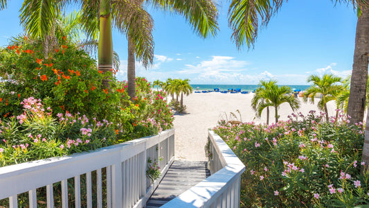 ST. PETE, FL DOG-FRIENDLY TRAVEL GUIDE