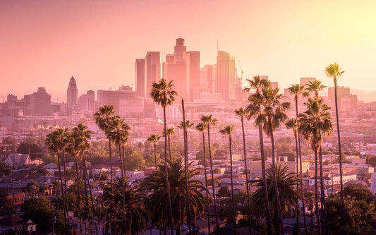 VENICE BEACH, CA & GREATER LA DOG-FRIENDLY TRAVEL GUIDE