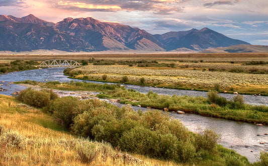 BOZEMAN, MT DOG-FRIENDLY TRAVEL GUIDE