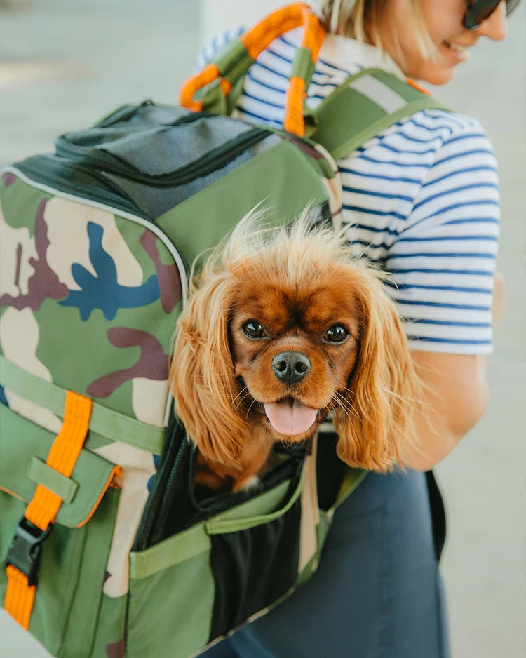 PET CARRIERS, CRATES & BACKPACKS