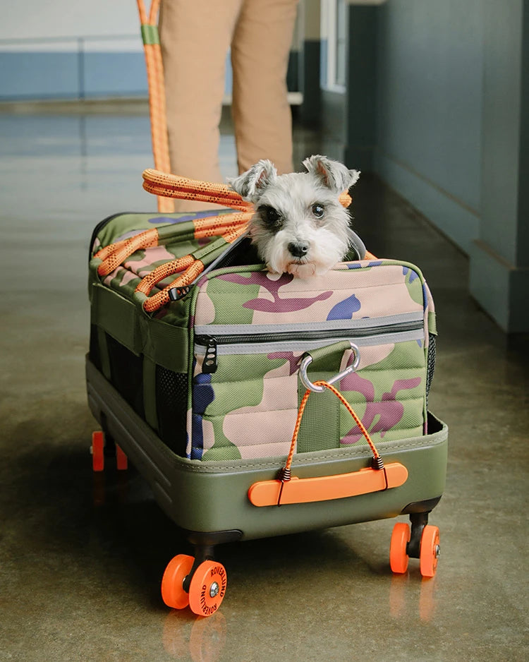 Dog travel equipment online