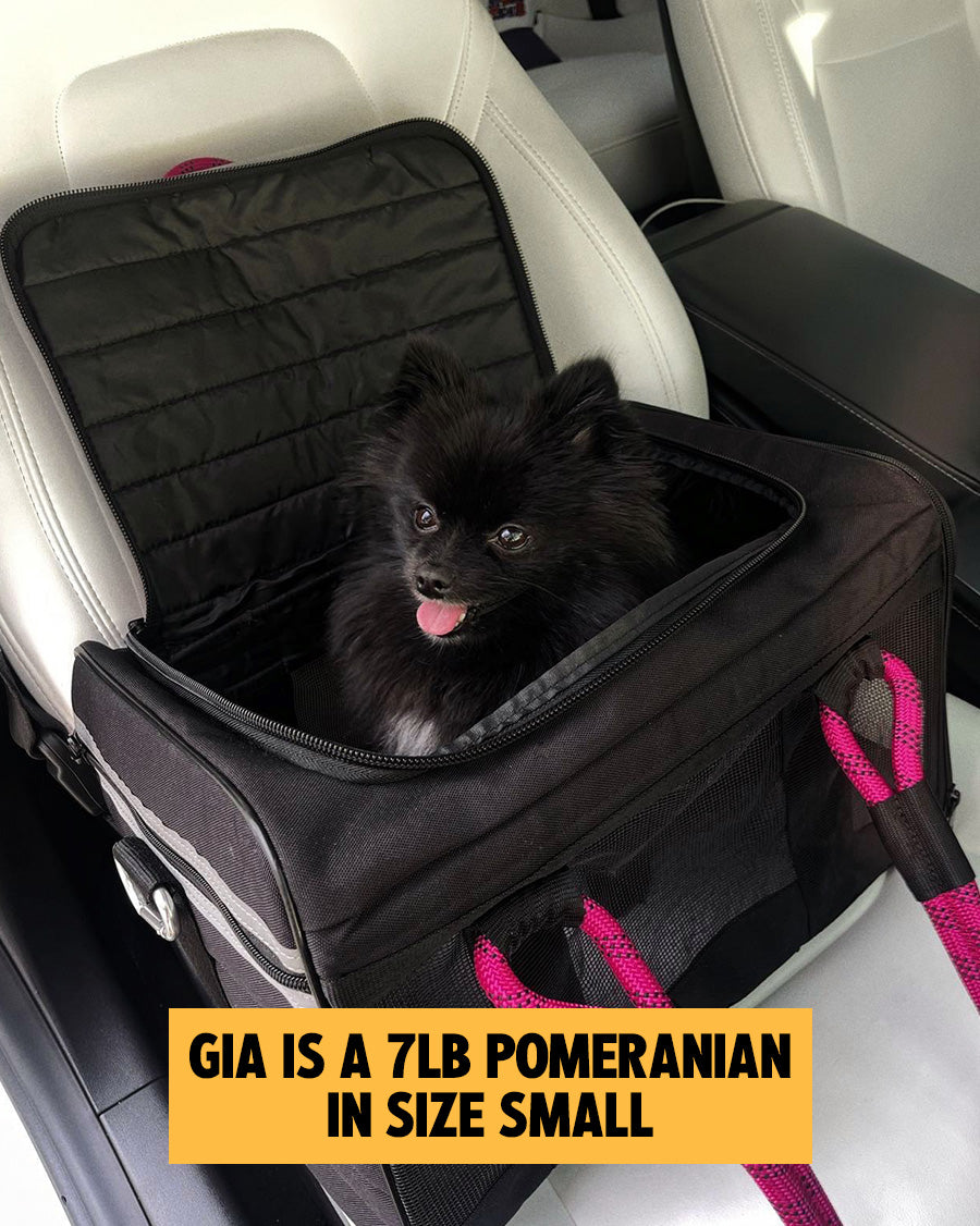 Airline Compliant Pet Carrier Sizing Guide & The Perfect Fit ROVERLUND