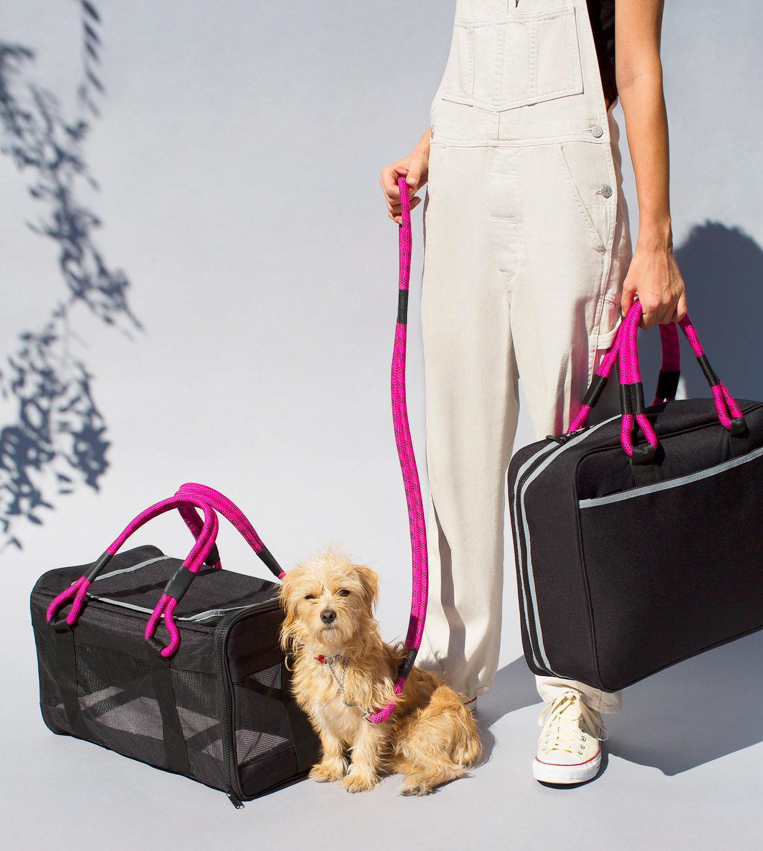 The Best Airline-approved Pet Carriers of 2023, Tested and Reviewed