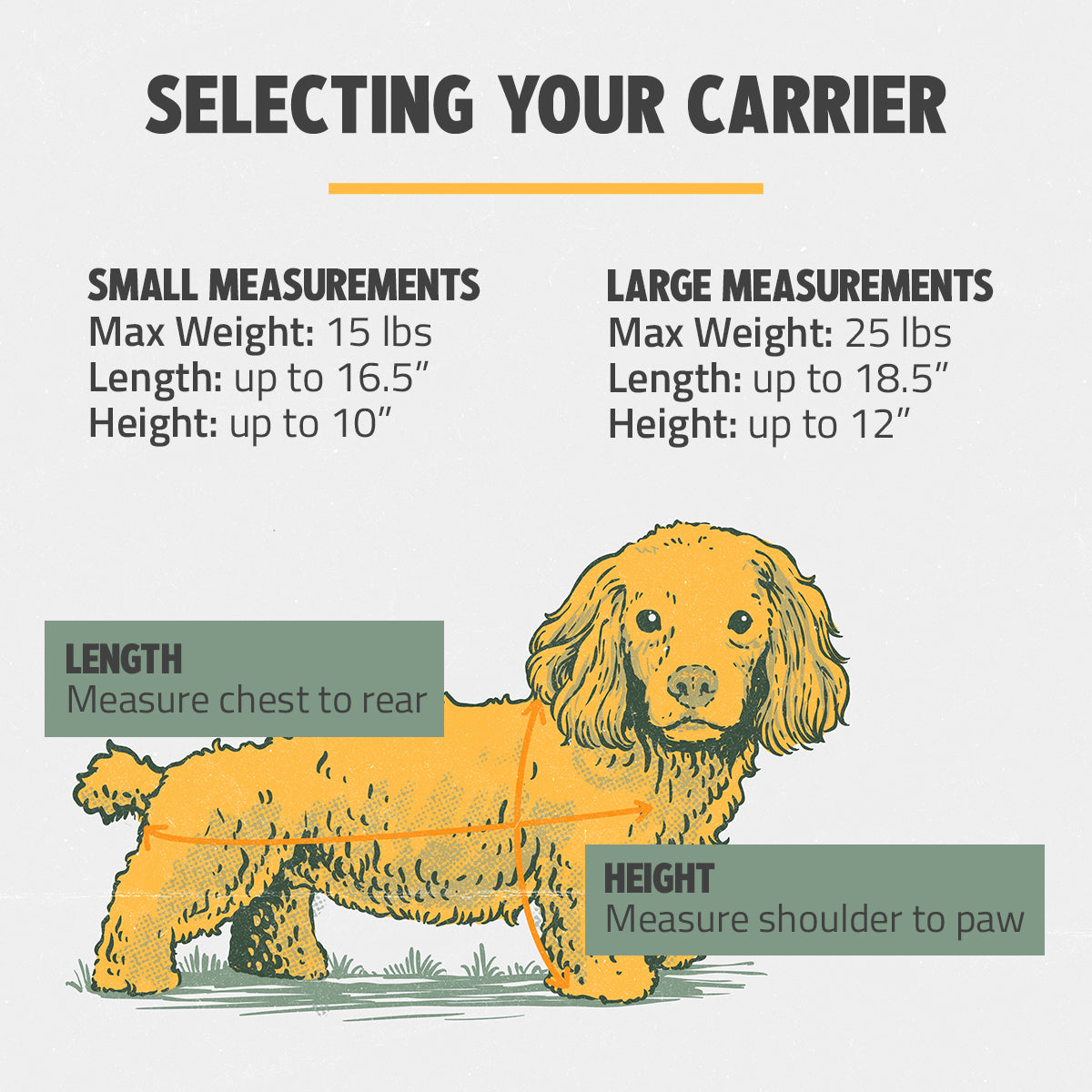 Patented Pet Carrier Plus