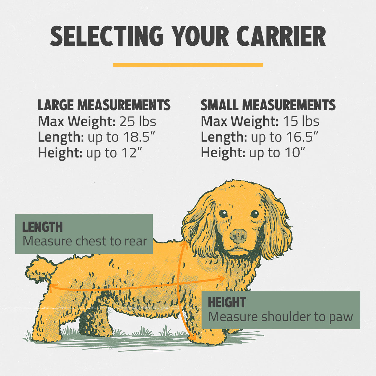 Airline Compliant Pet Carrier Sizing Guide & The Perfect Fit ROVERLUND