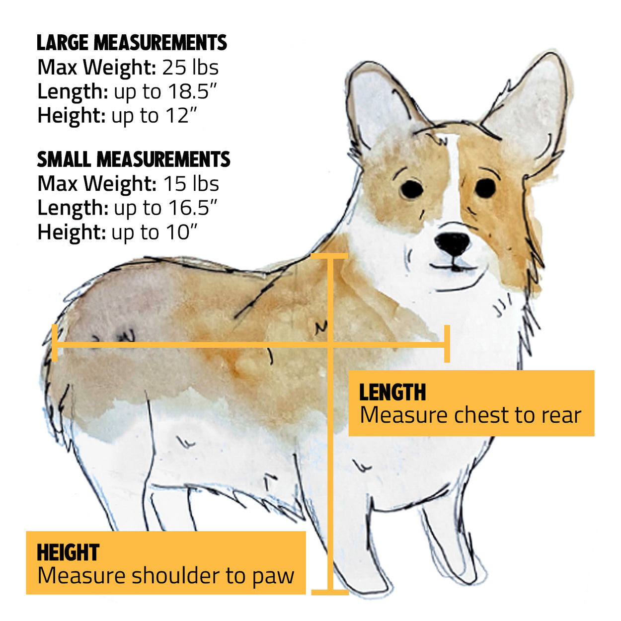 test PET CARRIER SIZING GUIDE ROVERLUND