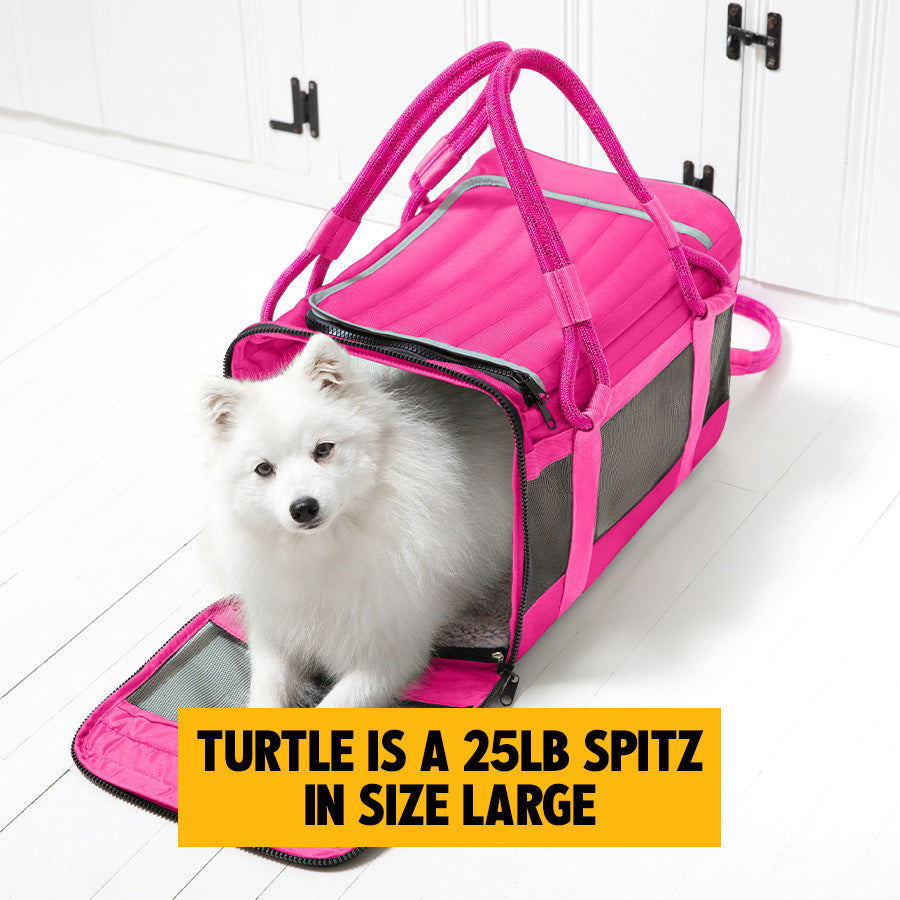 out-of-office-pet-carrier-1