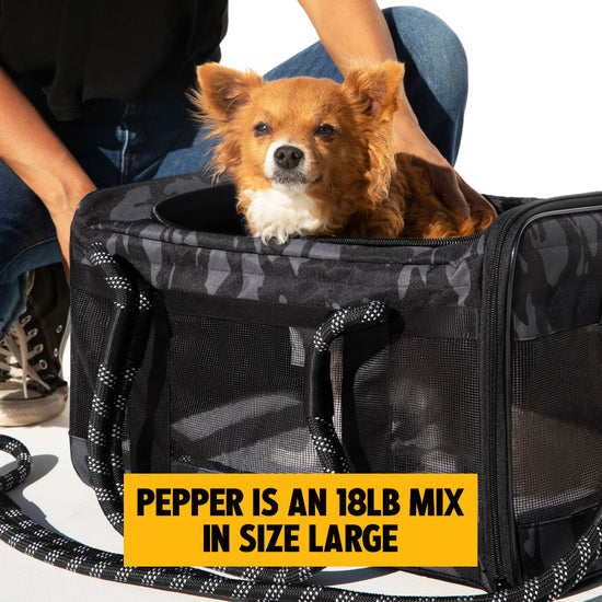 Airline Compliant Pet Carrier, Car Seat & Travel Bag Includes Leash