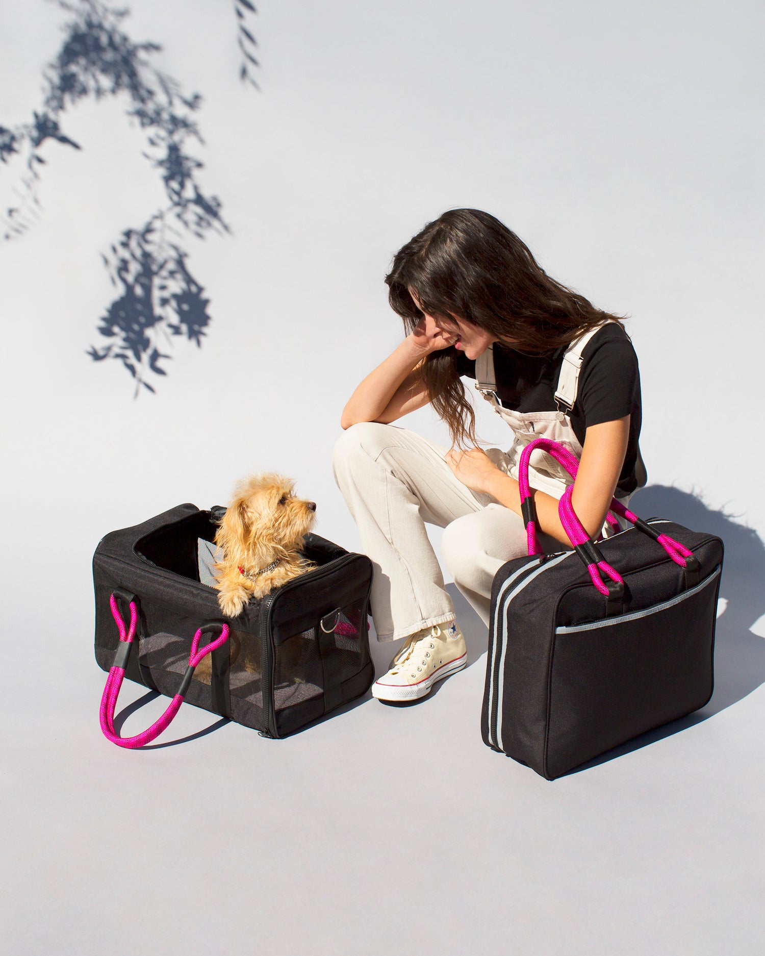 Explore the Pet Carrier Collection