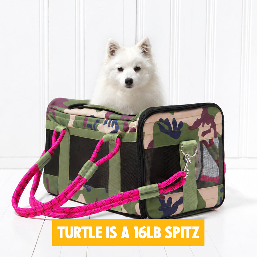 CAMO / MAGENTA