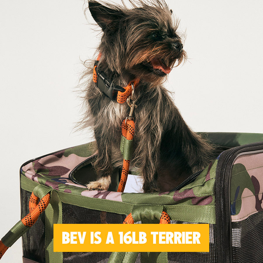 CAMO / ORANGE