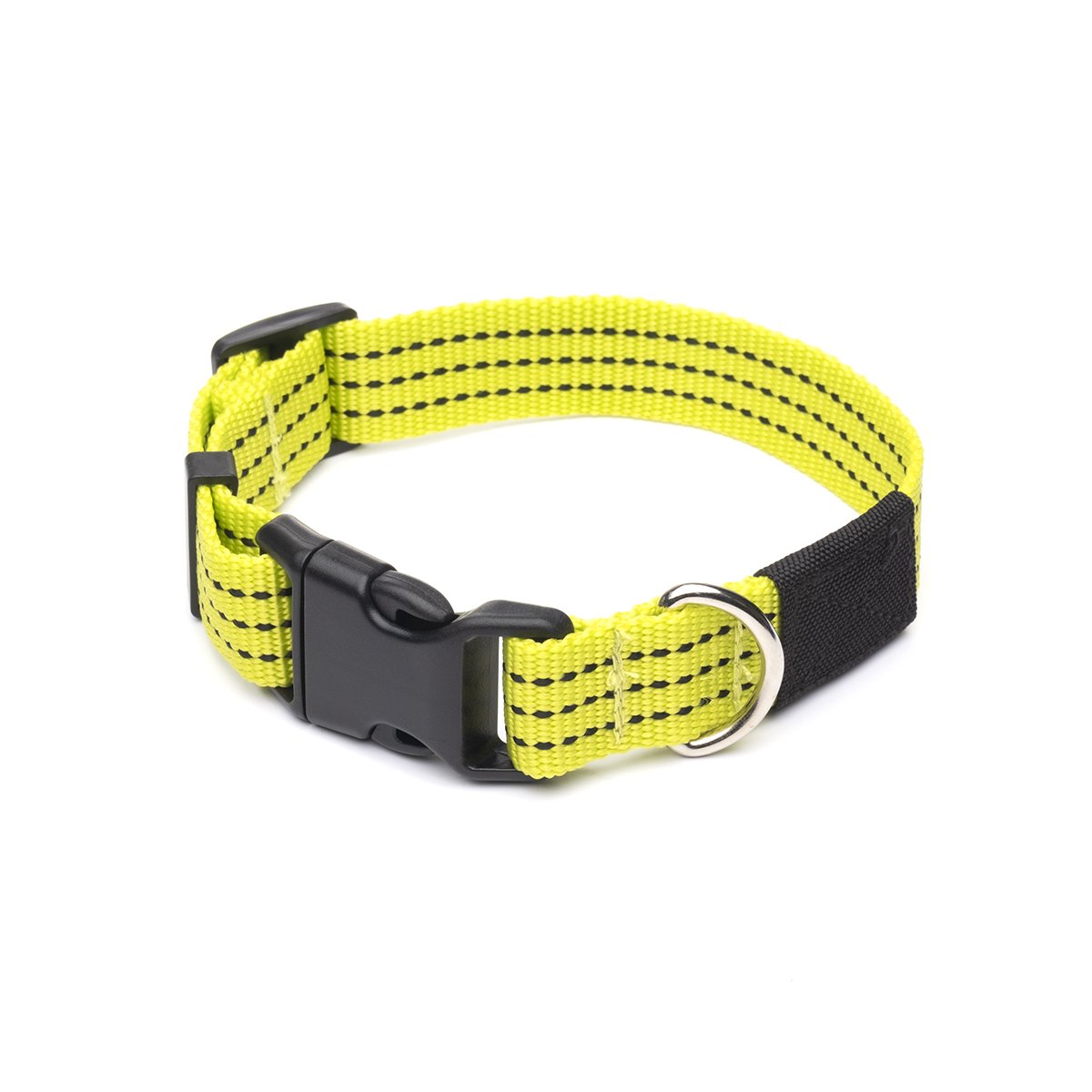 LEADER-OF-THE-PACK DOG COLLAR