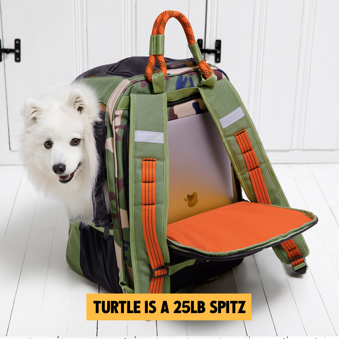 CAMO / ORANGE - UP TO 25LBS